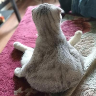 Андрей Дрёмов