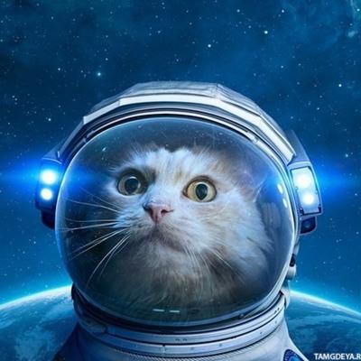Вадим Федоренков
