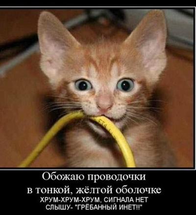 Илья Шарипов