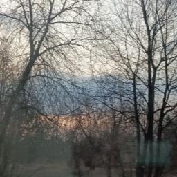 Артём Вильховой